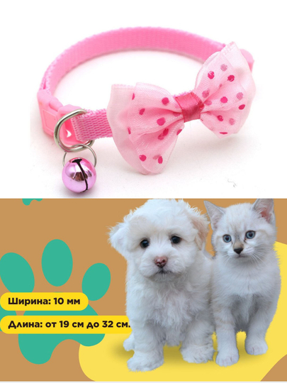 Hammomda moyli mushuk Hammomda moyli mushuk