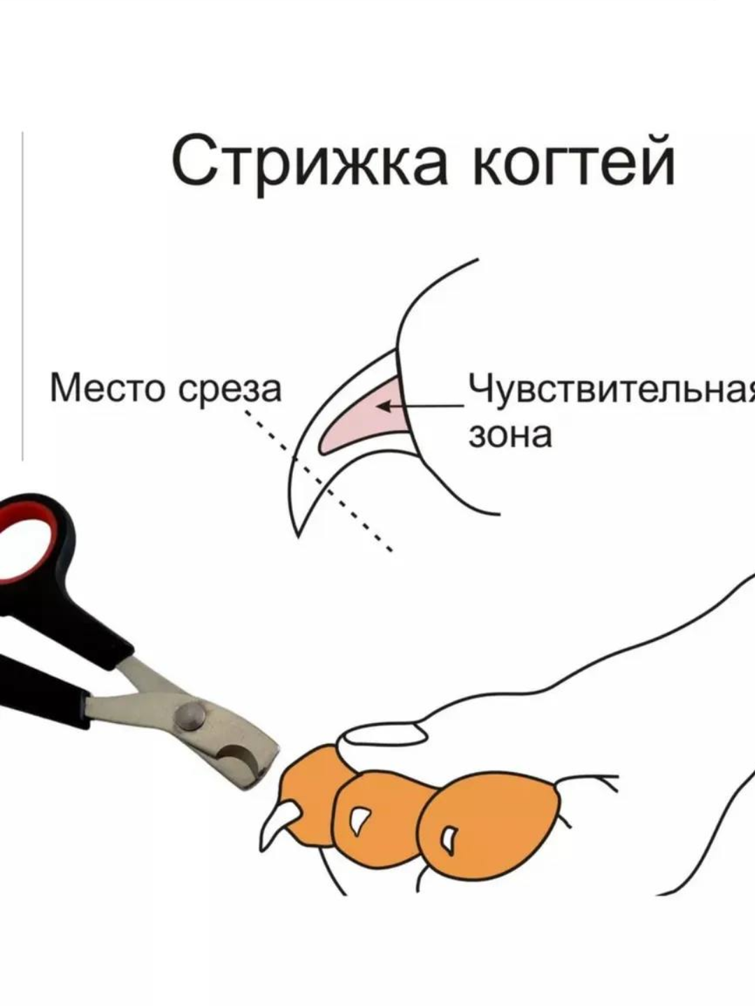 Кусачки для ногтей, для кошек и собак