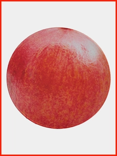 Korall