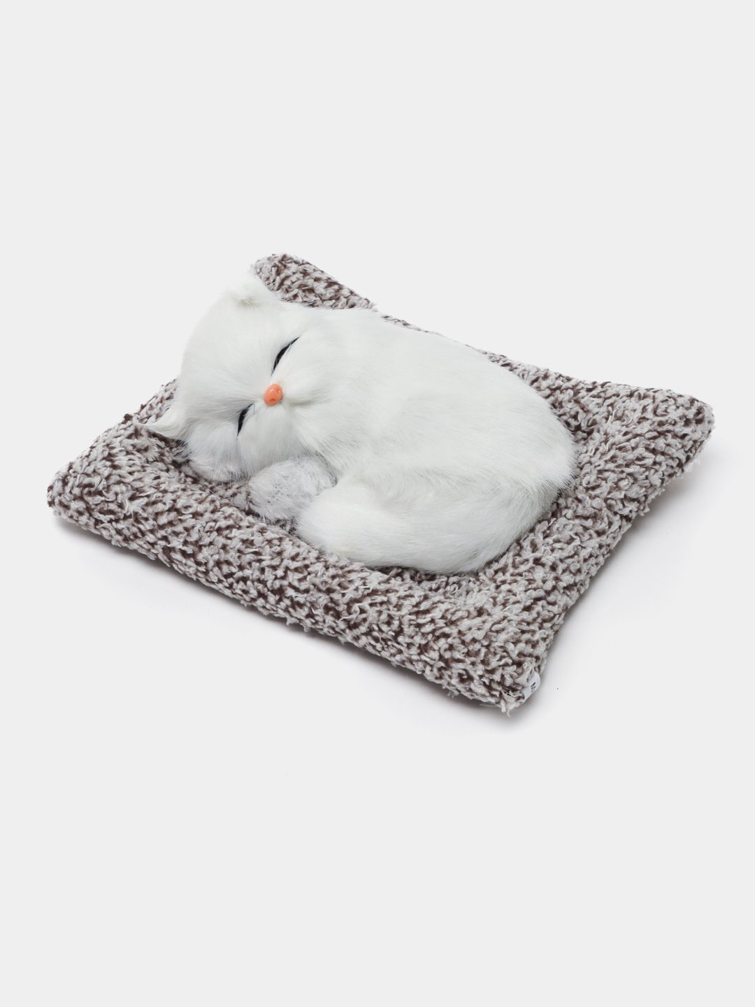 Bal zalida raqs porno rasmlar