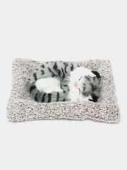 Megapolis majmuasidagi talabalar ogzaki jinsiy aloqa bilan shugullanishdi Nalchikdagi seks Zuhrani sikdi