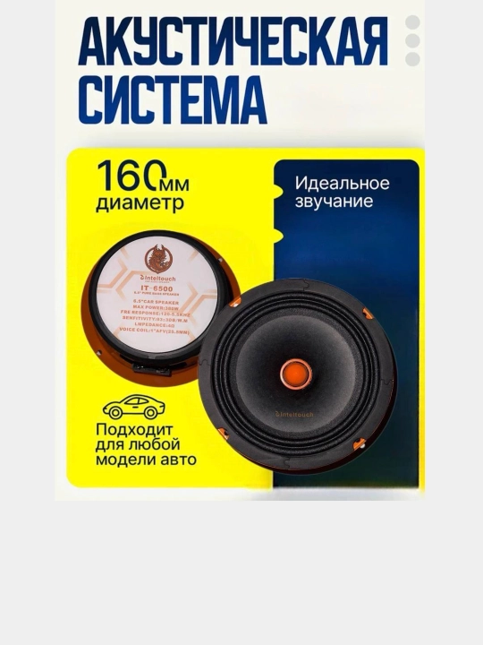 Эстрадные колонки Inteltouch 6.5, 16 см - 