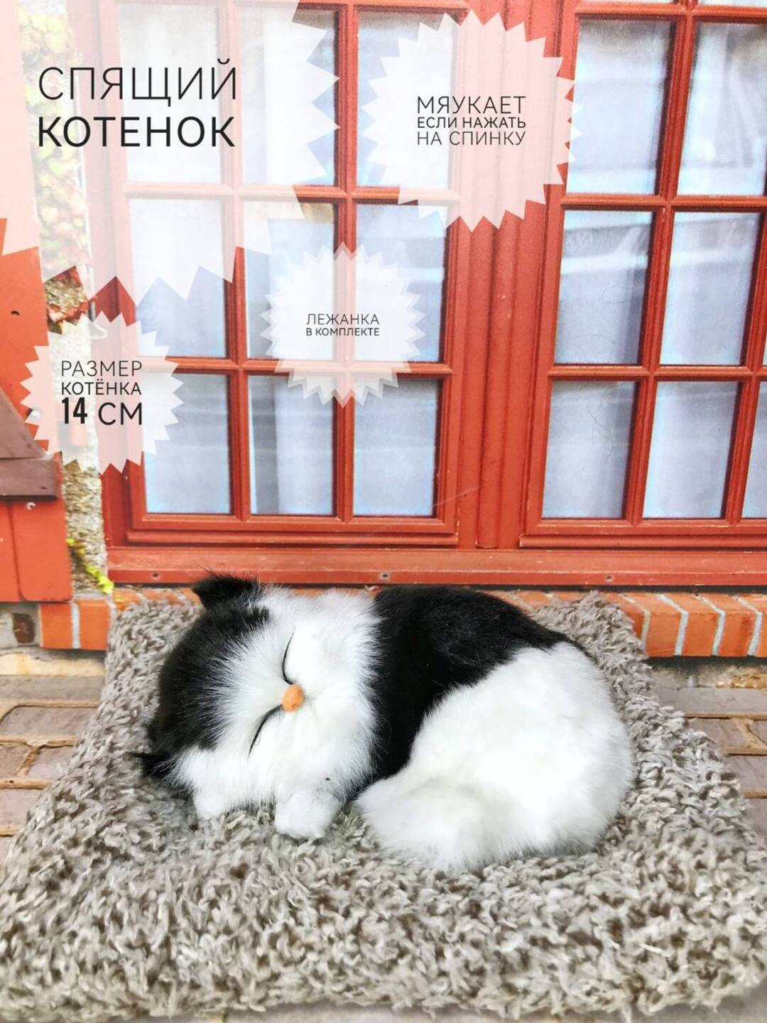 Sariqning joyida jinsiy aloqa