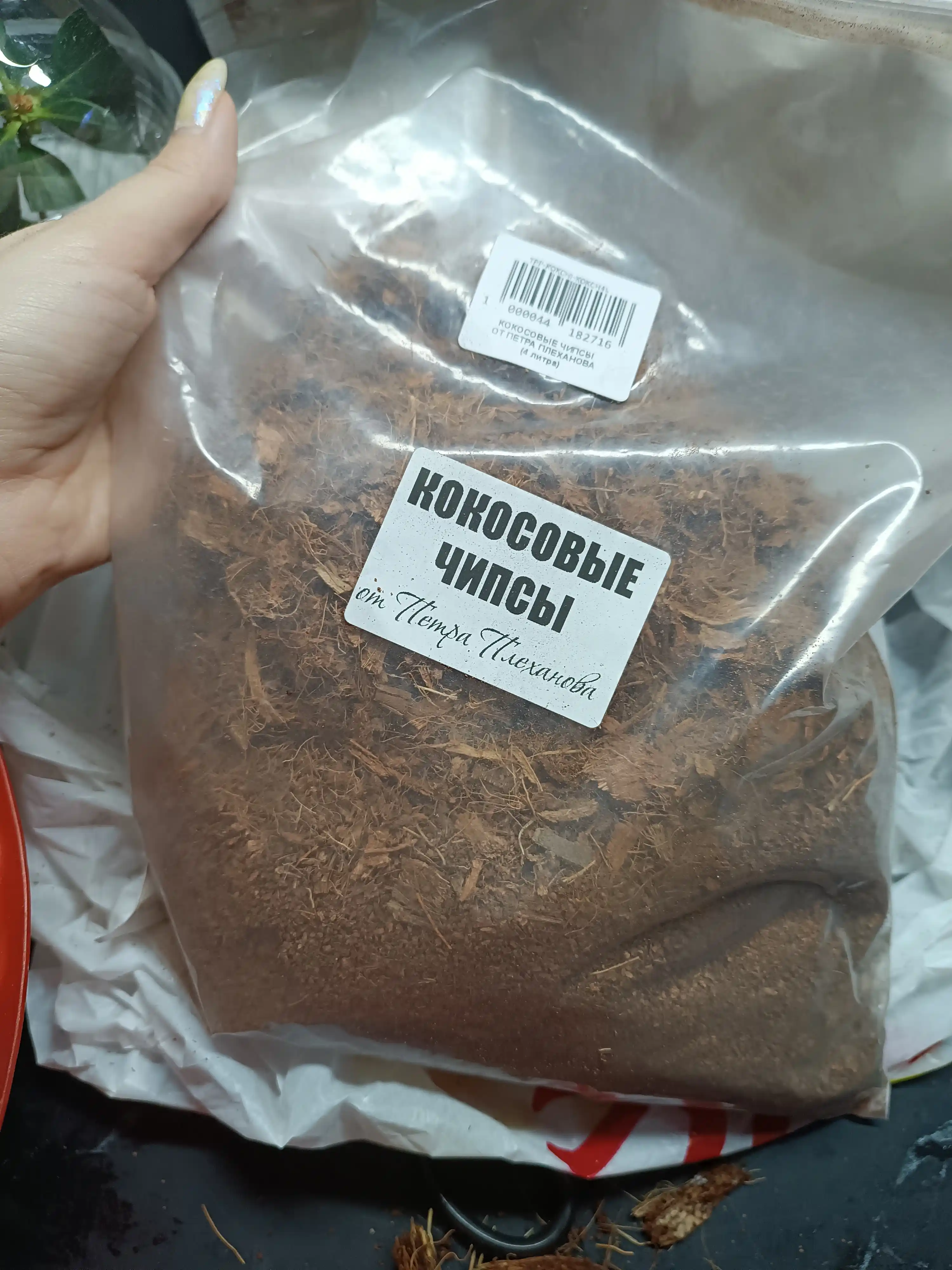 Kokos chipslari Pyotr Plexanovdan, presslanmagan, suvda uvitilgan orxideya, anturium