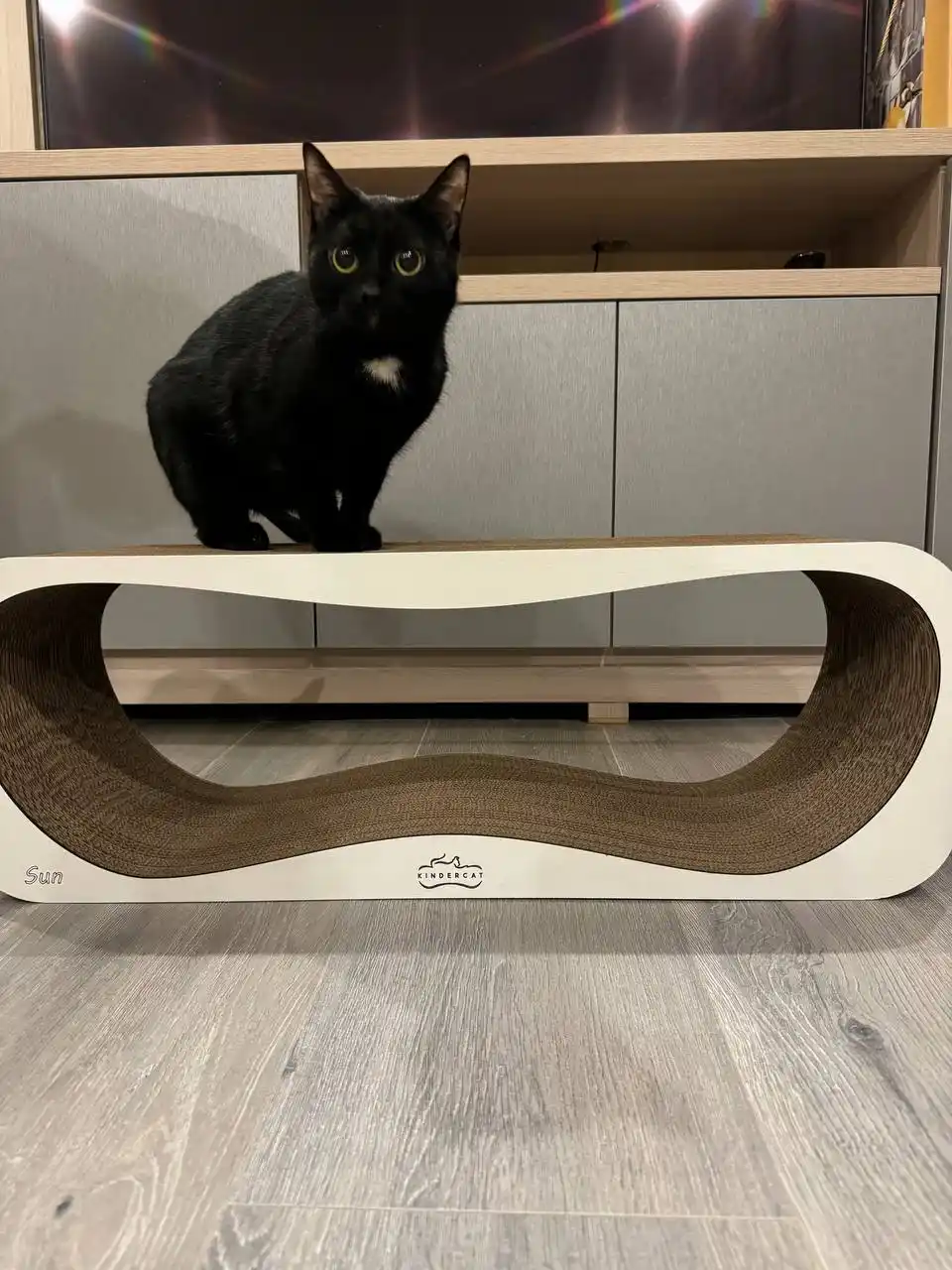 Когтеточка картонная Sun KinderCat, для кошек и котят