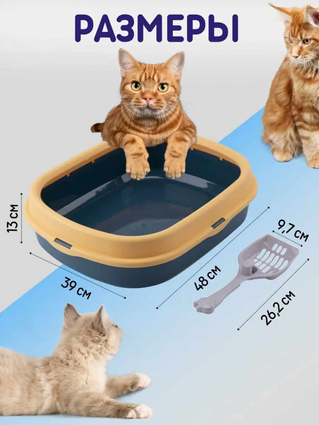 Porno uning oyogini olib tashladi