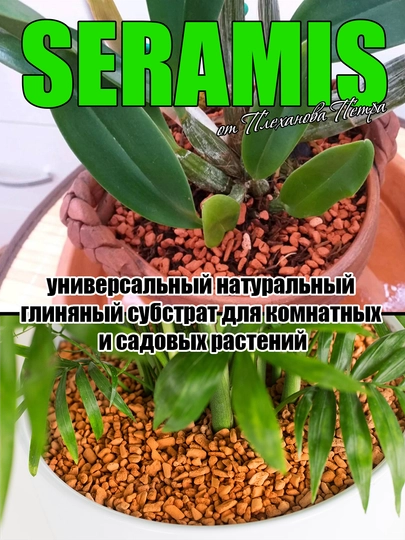 SERAMIS (серамис) uy va hovli o'simliklari, orxideya, sukkulent uchun tabiiy loy substrat