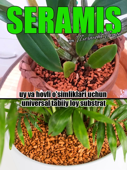 SERAMIS (серамис) uy va hovli o'simliklari, orxideya, sukkulent uchun tabiiy loy substrat