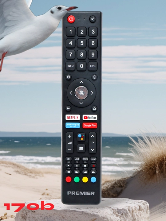 Пульт для телевизора Premier 170b