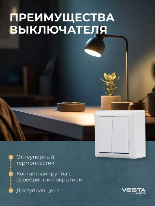 Двухклавишный накладной переключатель Vesta-Electric Mega