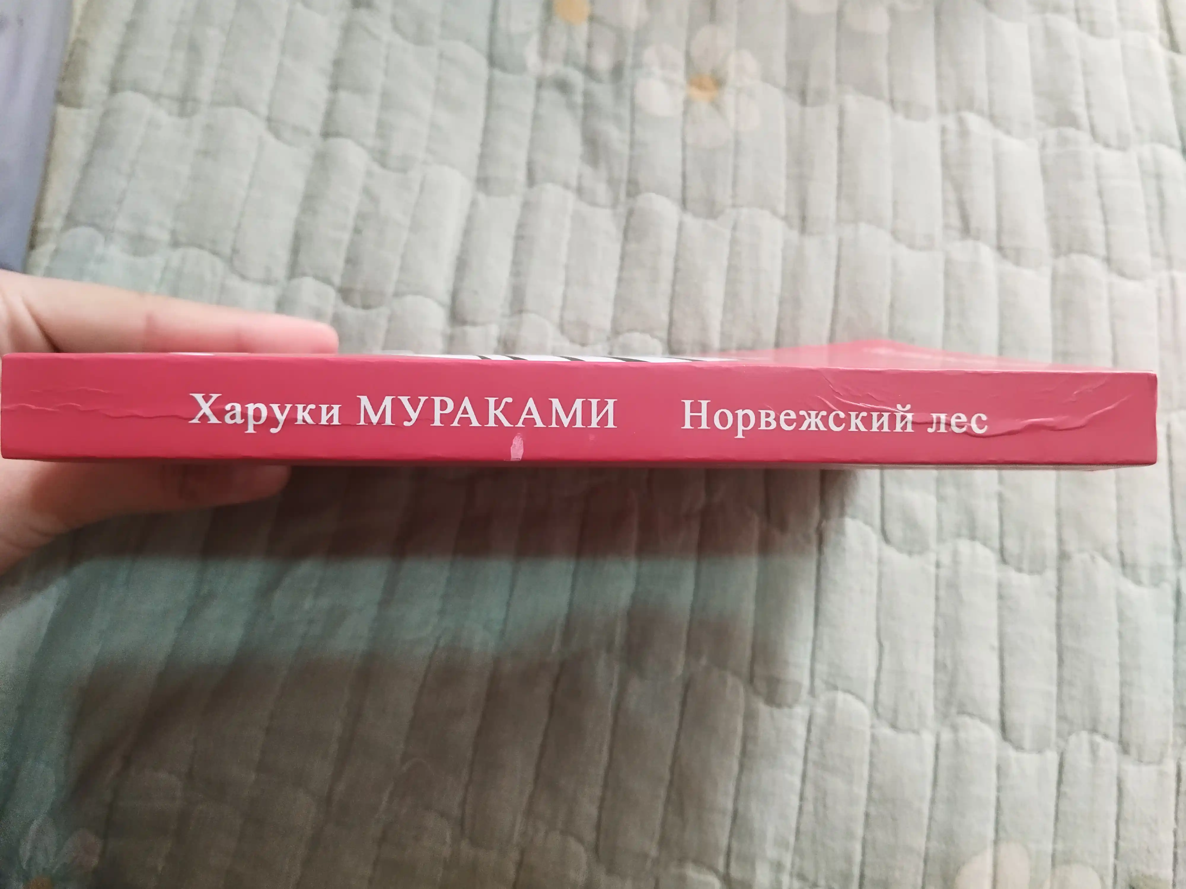 Kharuki Murakami. Norvezhskiy les, Muzhchiny bez zhenshchin, Khroniki Zavodnoy Ptitsy