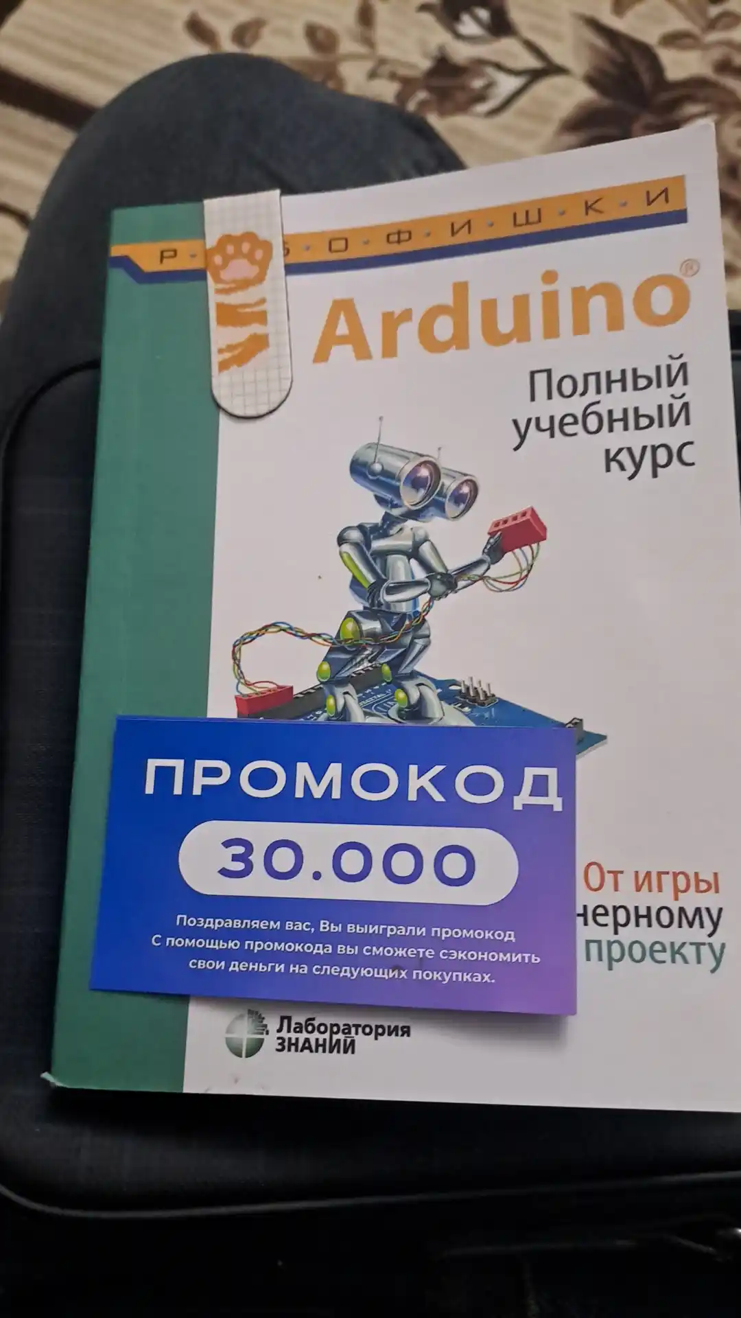 Arduino, Полный учебный курс. От игры к инженерному проекту, Программирование