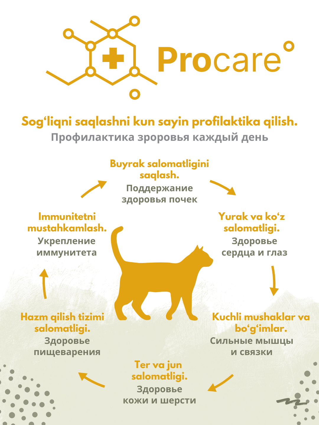 Qoshnini qanday sikish haqida porno Elis porno kosplay