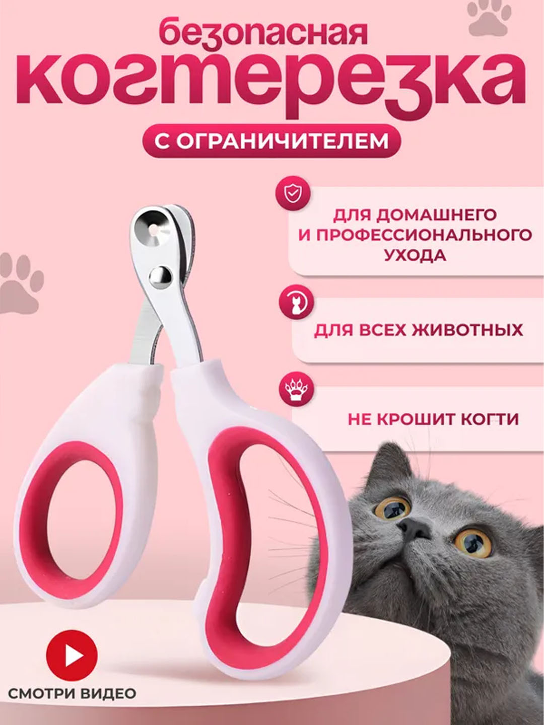 Hayz korishdan ikki-uch kun oldin jinsiy aloqa Rus ayollar dumba porno