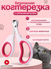 Mashhurlarning shaxsiy jinsiy aloqa porno suratlari Er-orqadan porno pozitsiyasi vazn yoqotish uchun foydalimi?