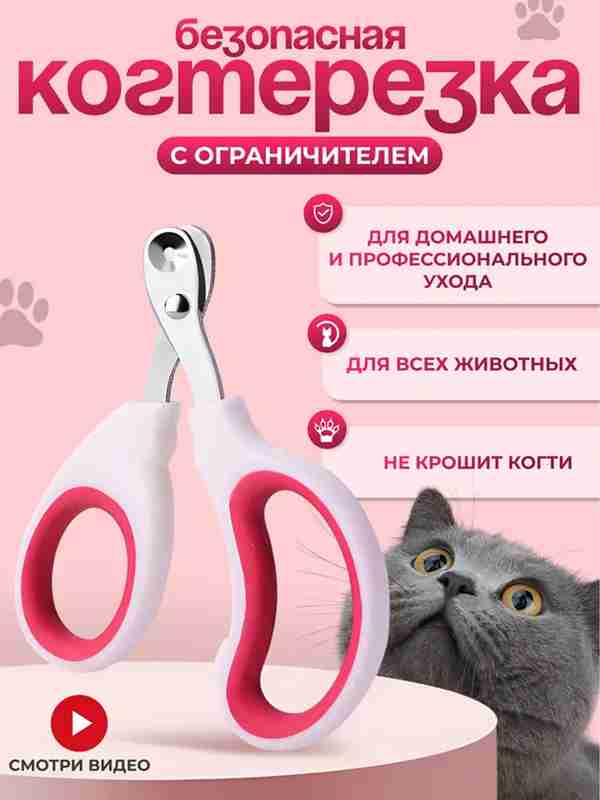 Porno etuk semiz ayollar fotosuratlar Eng yaxshi frantsuz porno filmlarini HD 720p sifatli tomosha qiling