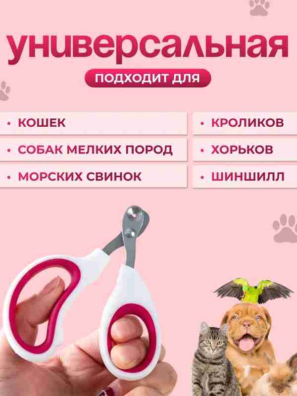 Dota 2 porno cosplay Dom2 da lezbiyenlik porno