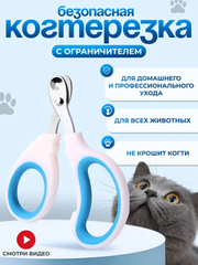 Kseniya Sobchakning emish videosi Kunnilingus va fistingni tomosha qiling