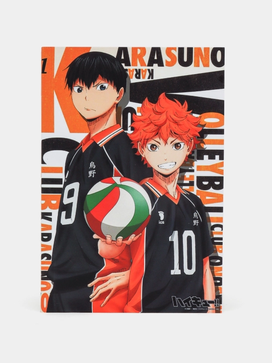 Комикс Манга Волейбол!! Haikyuu!!