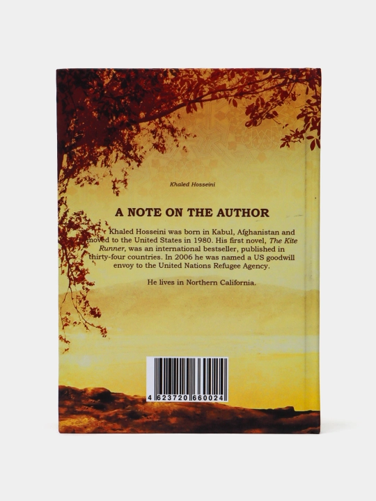 A thousand splendid suns. Khaled Hosseini