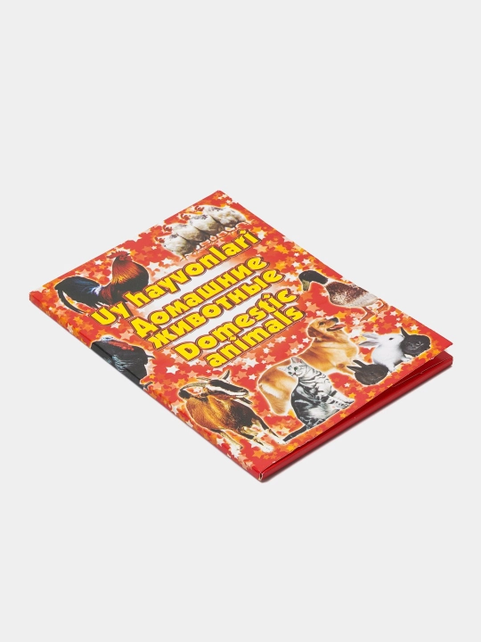 Карточки для детей, которые можно изучать по картинкам, овощи, фрукты, домашние животные