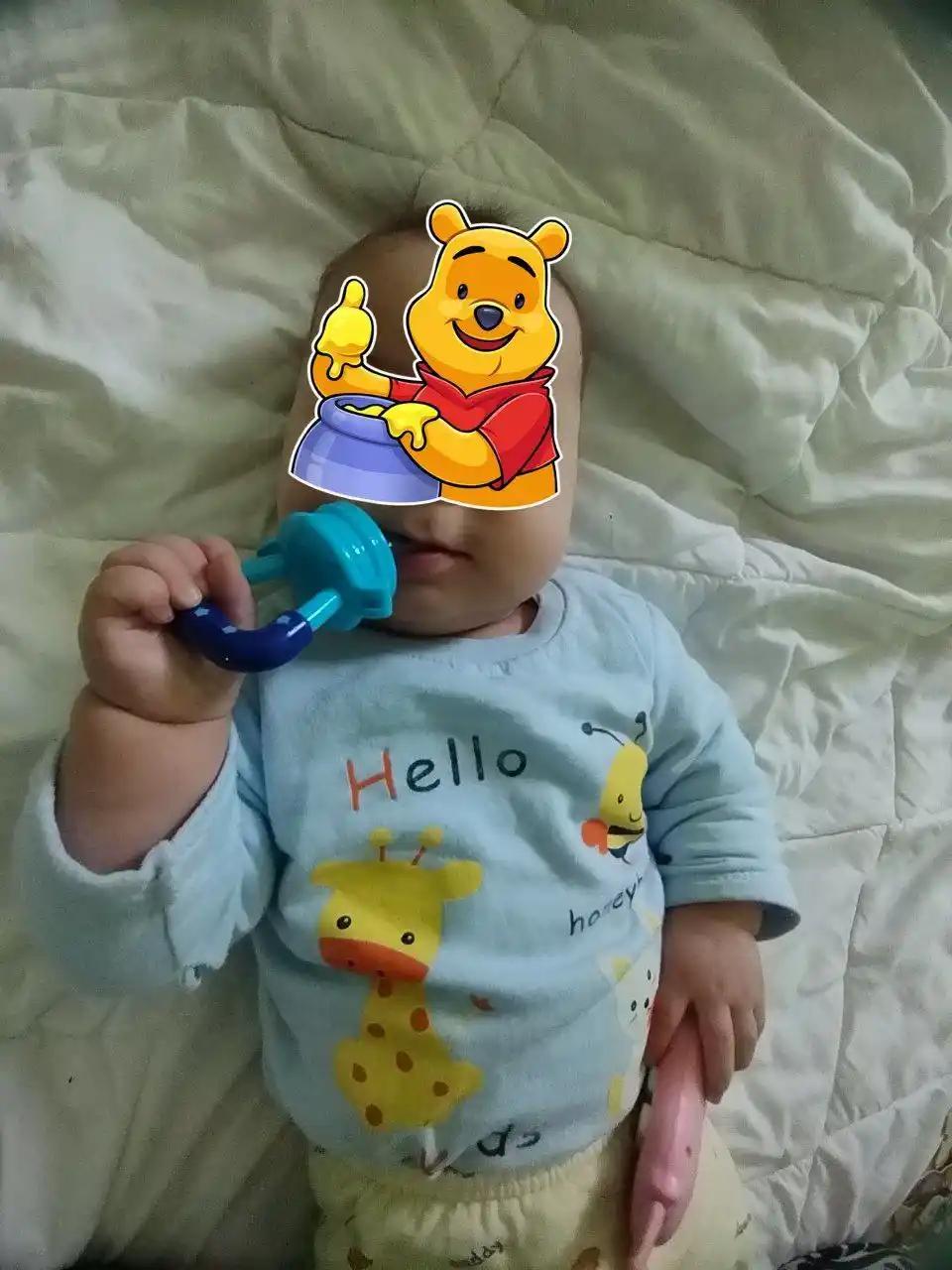 Nibler, bolalarni meva bilan o'ziqlantirish uchun so'rgich