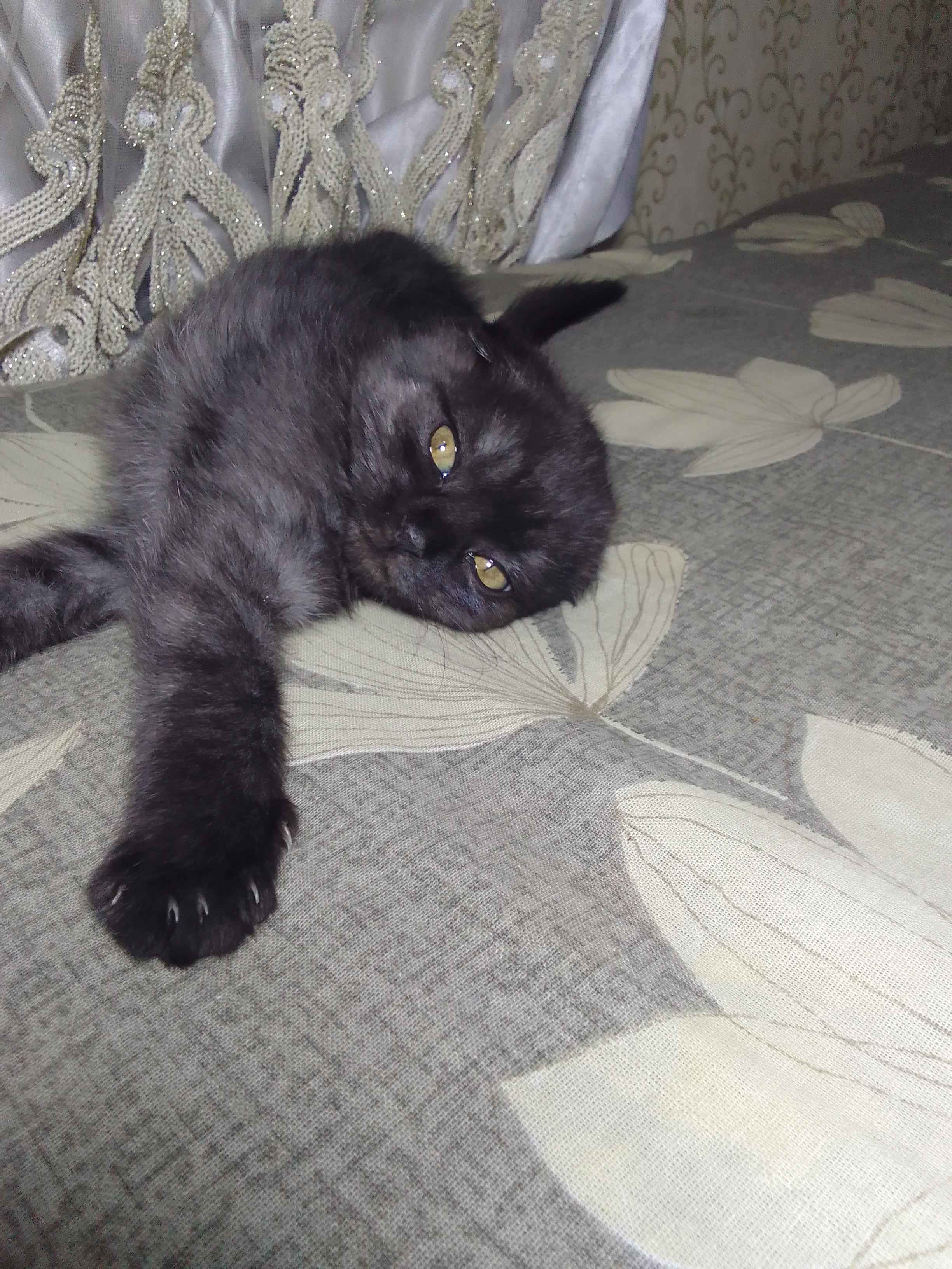 100 yoshli boboning nevarasini sikayotgani aks etgan porno video Porno u uxlayotganida uning külotlarini yechdi