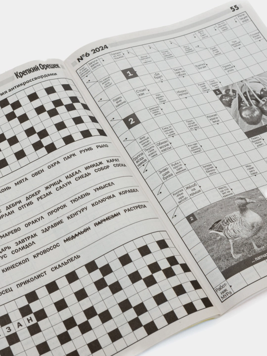 Rus tilida, "Qattiq yong'oq" skanvordlar to'plami №6/24