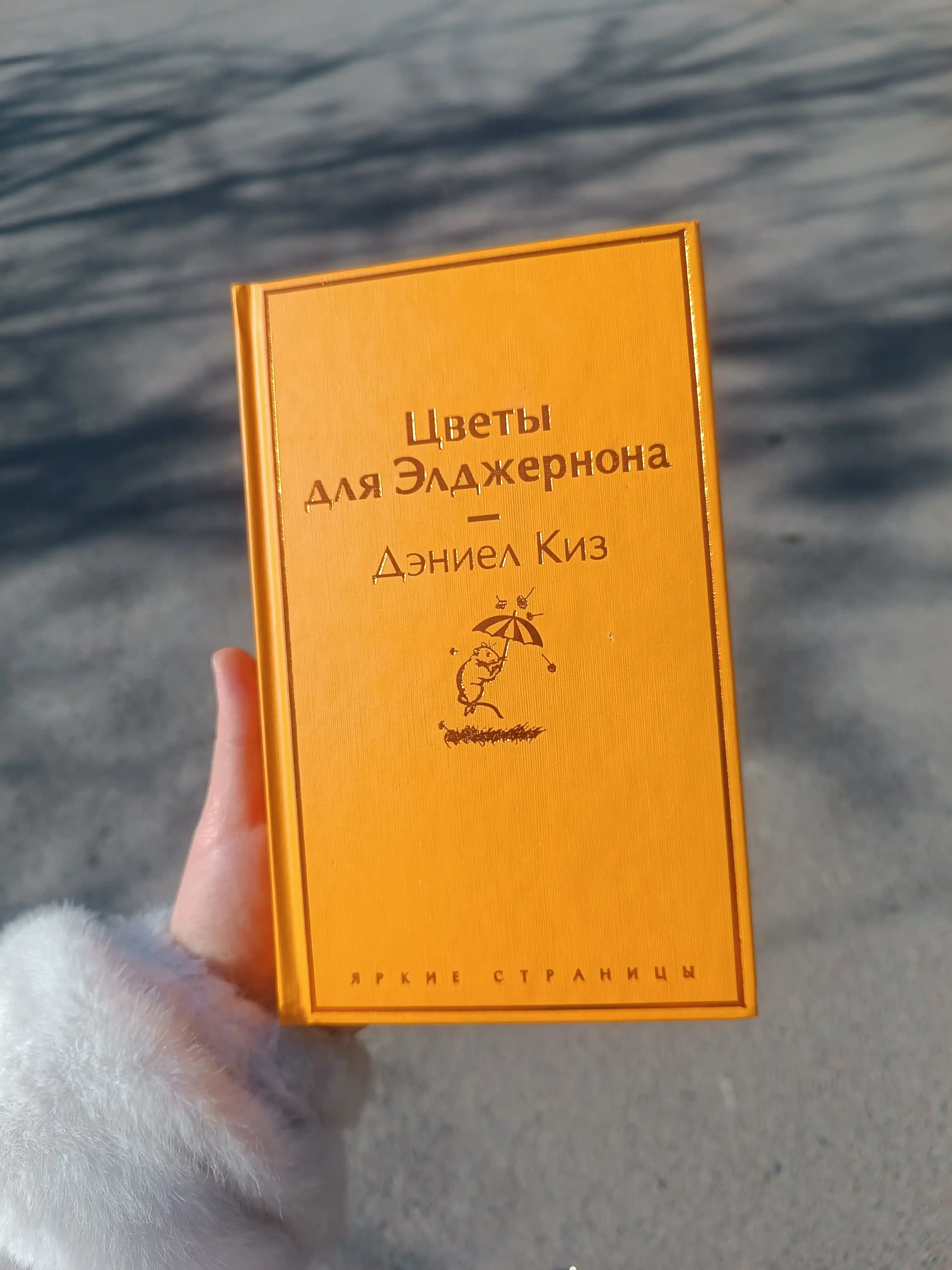 Tsvety dlya Eldzhernona, Deniyel Kiz