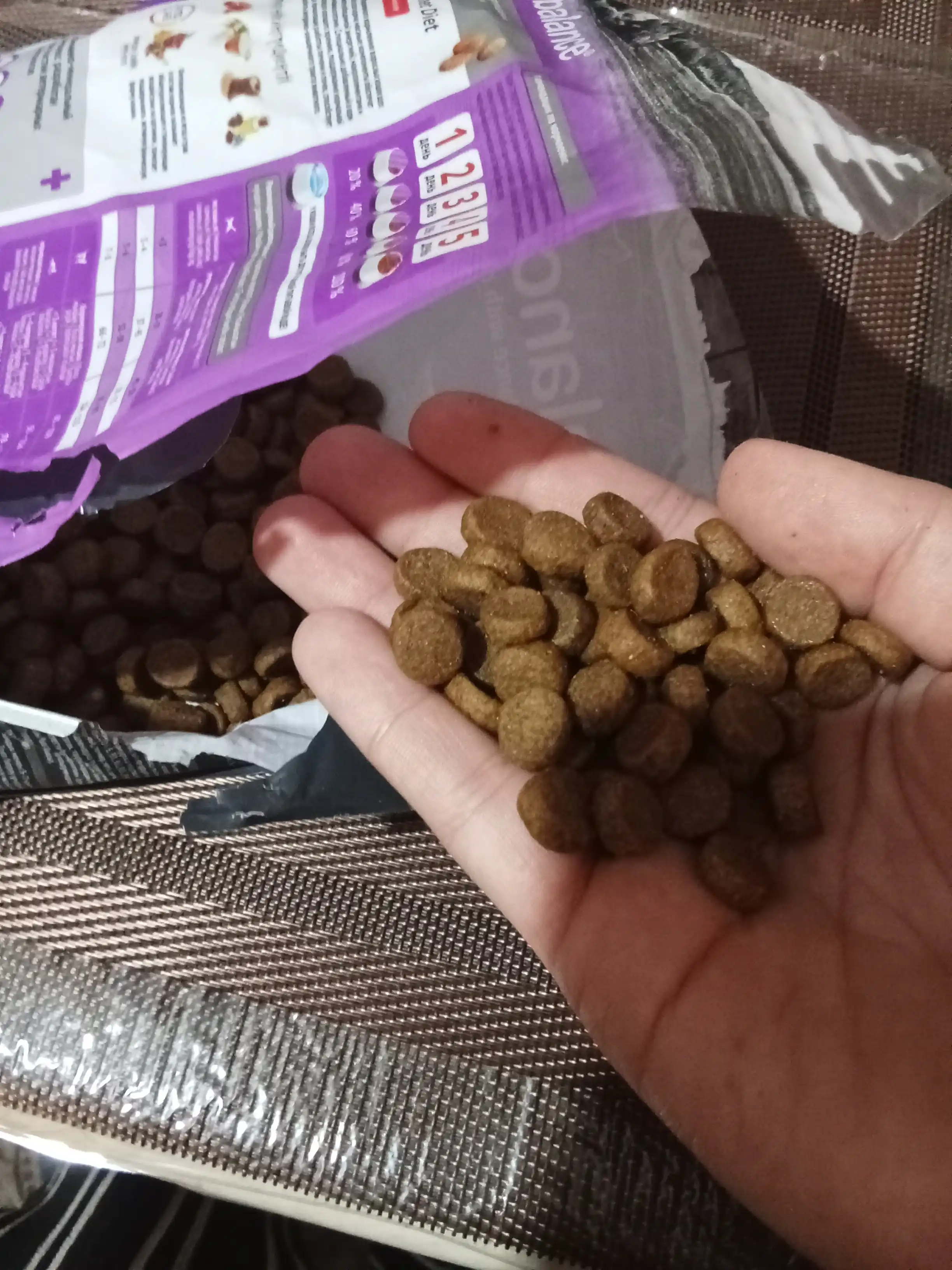 ProBalance Gourmet  сухой корм для кошек с говядиной и ягненком, 400 гр