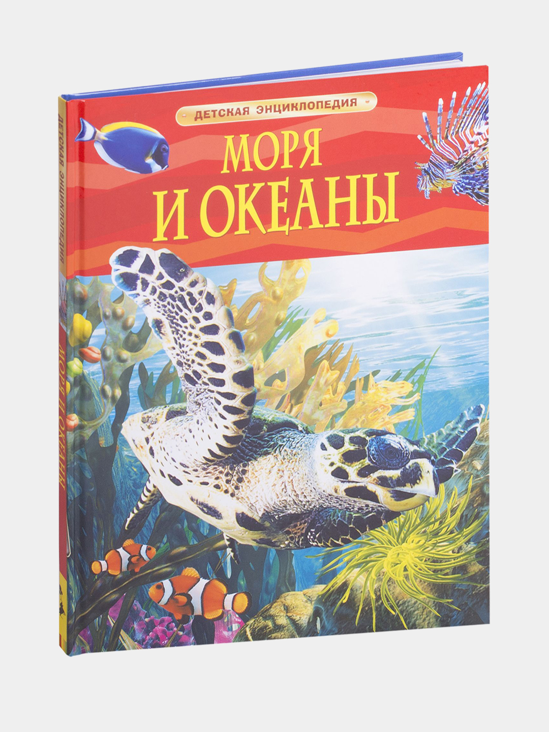 Коралловый