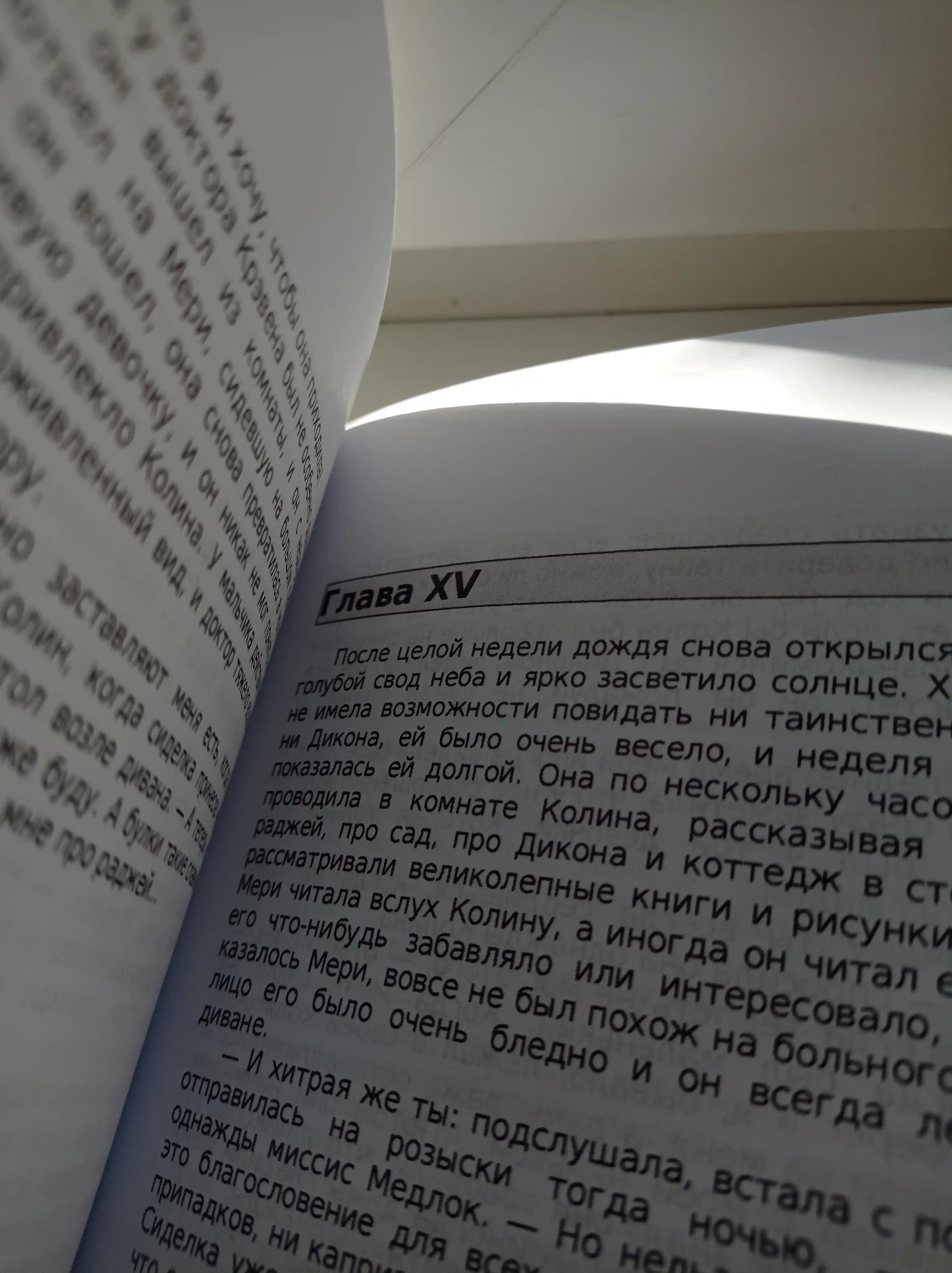 Таинственный сад, Бёрнетт Фрэнсис Элиза