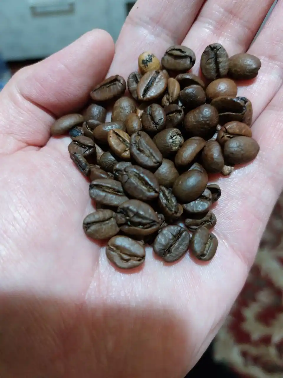 Barista Pro Bar donli qahvasi 230 g, qahva mashinasi uchun donli qahva
