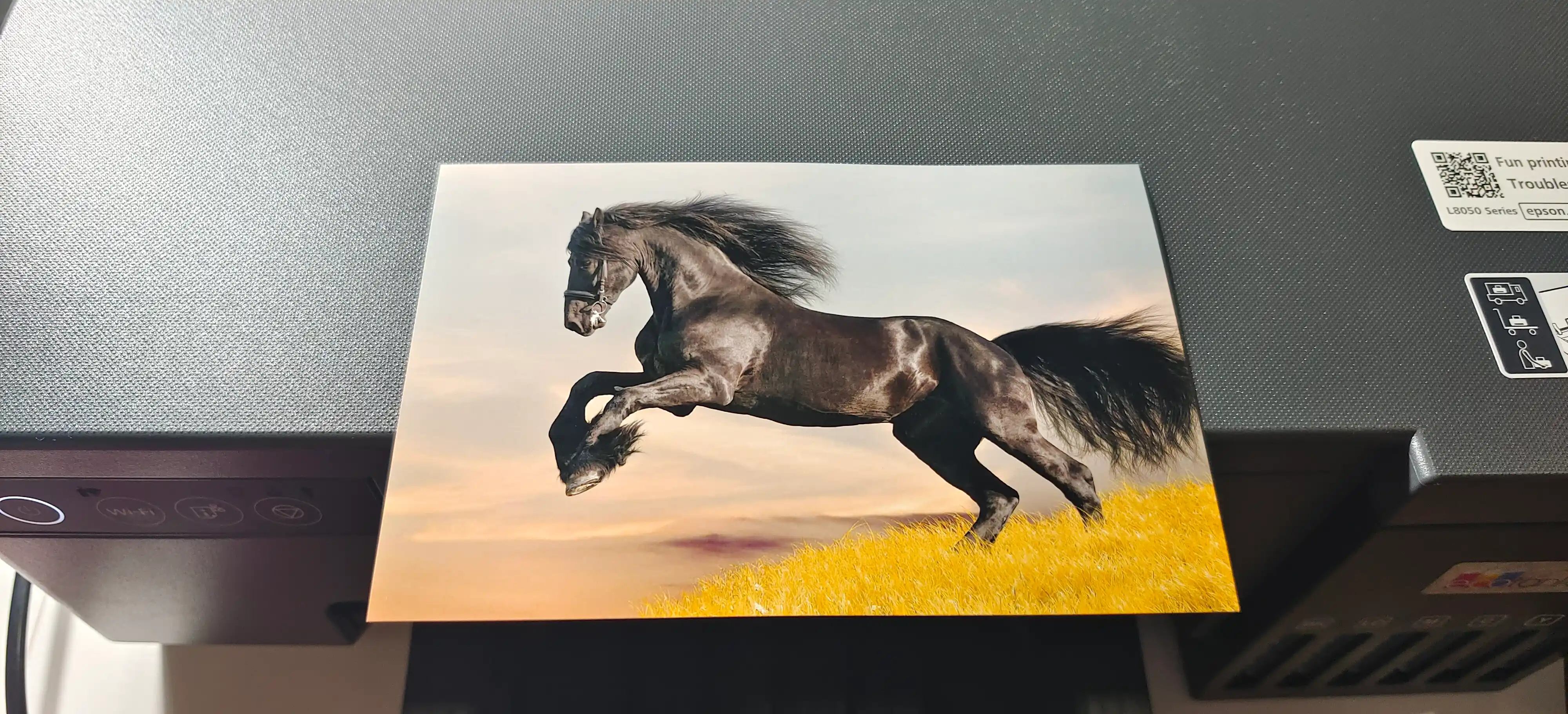 Printer EPSON L8050 EcoTank rangli, Wi-Fi, 1 yillik kafolat