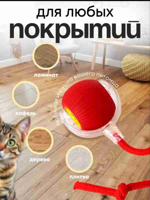 Eng yaxshi ichki kiyim fotosuratlar