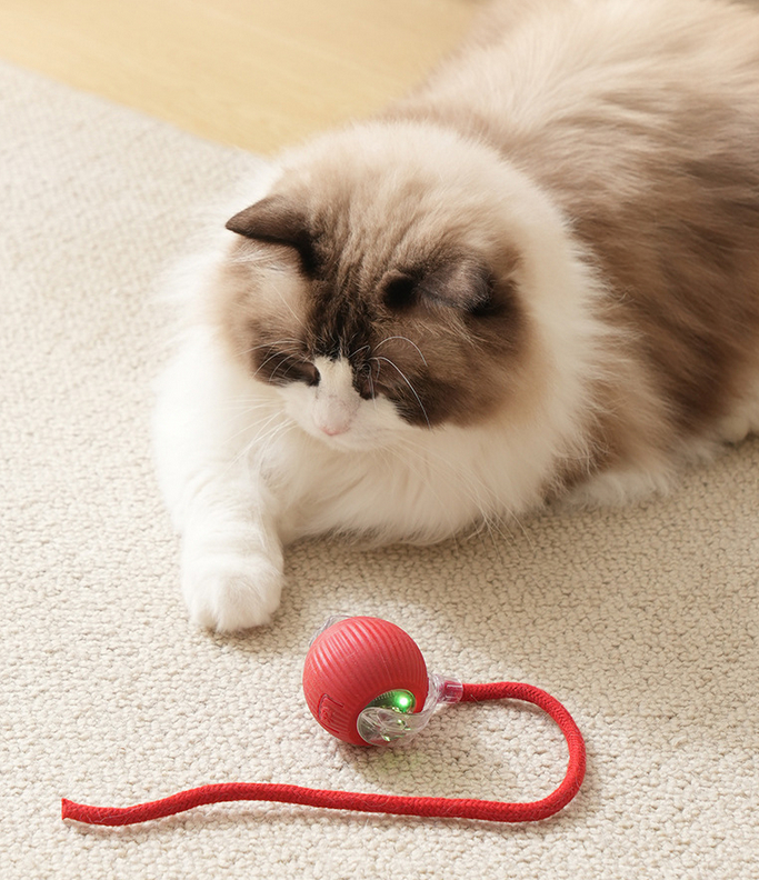 Xotinim va men va porno mashinasi onlayn Voyaga etgan xonimlarning qamishi