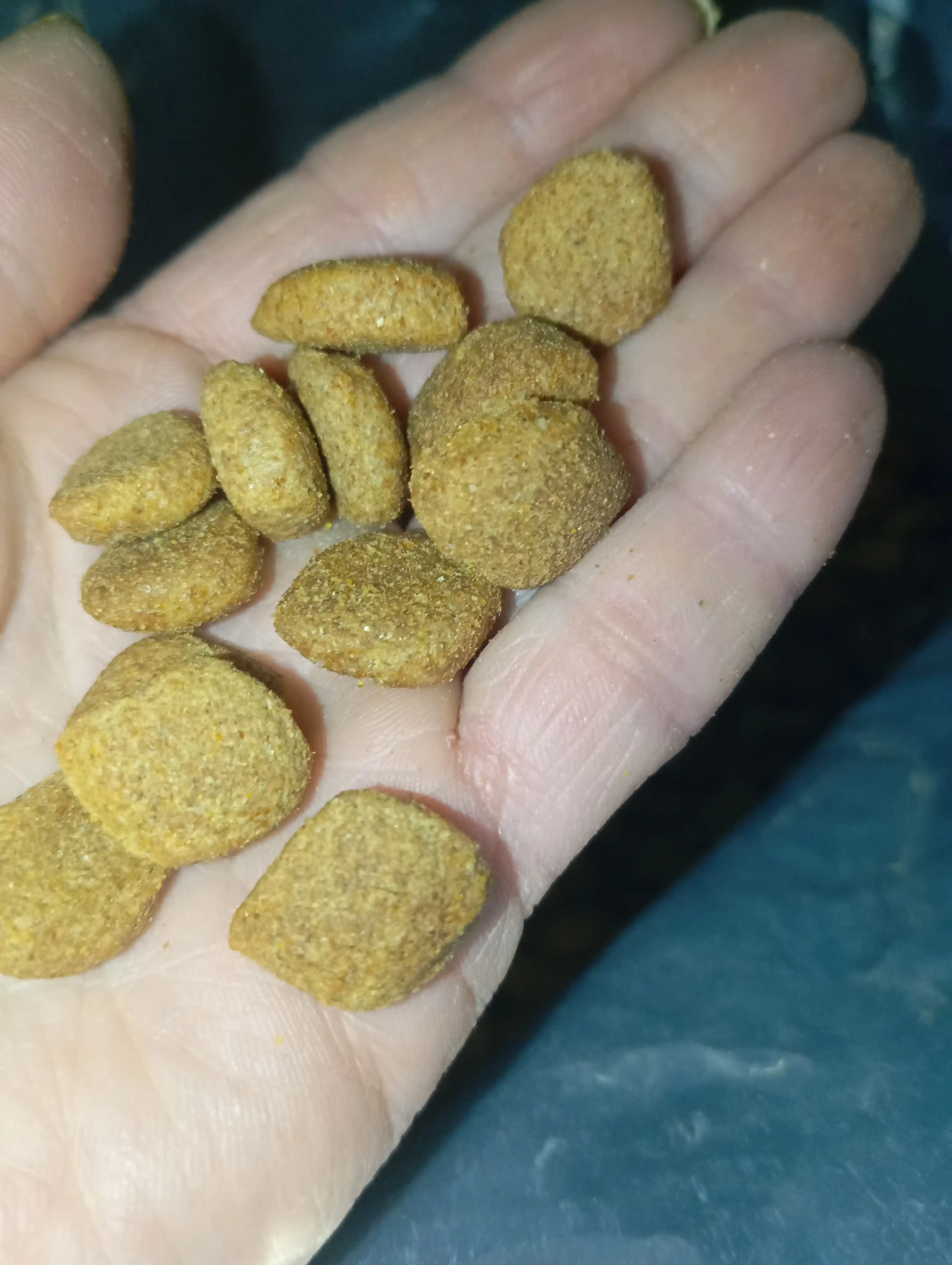 Thunder Adult Dog кatta yoshli itlar uchun quruq oziq-ovqat, qo'zichoq va guruch, 15 kg