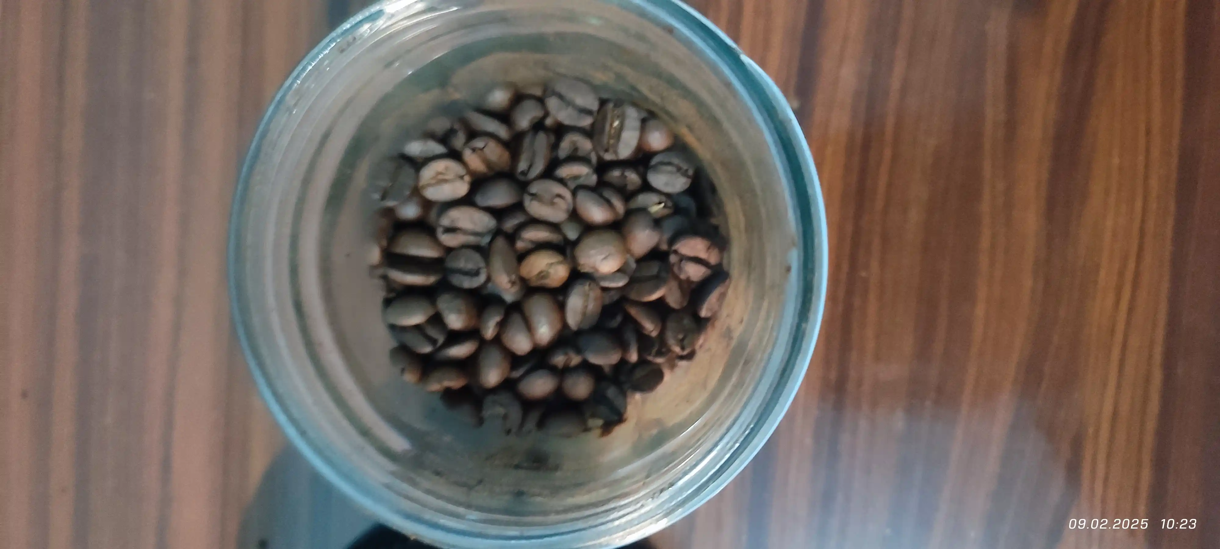 Qahva donalari ProCoffee Blend 2, 1000 gr