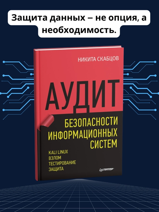 Аудит безопасности информационных систем, Николай Скабцов - 