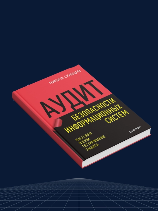 Аудит безопасности информационных систем, Николай Скабцов