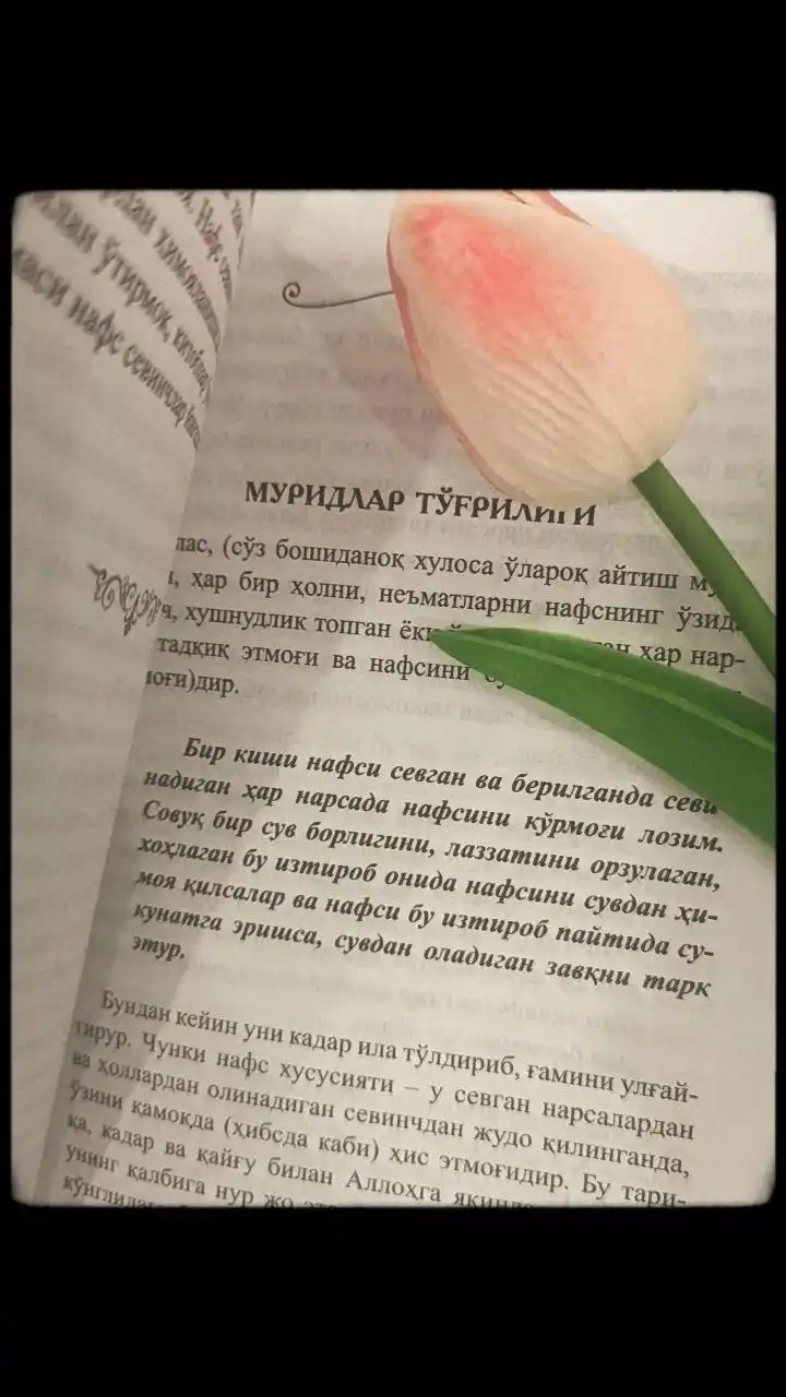 Нафс тарбияси — Хаким Термизи