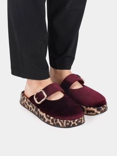 Bordo