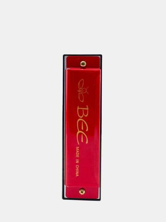 C yoki G Bee deluxe kalitidagi 10 teshikli diatonik garmonika
