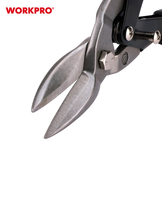 WORKPRO Aviatsiya qalay qaychi, 250 mm, tekis WP214017