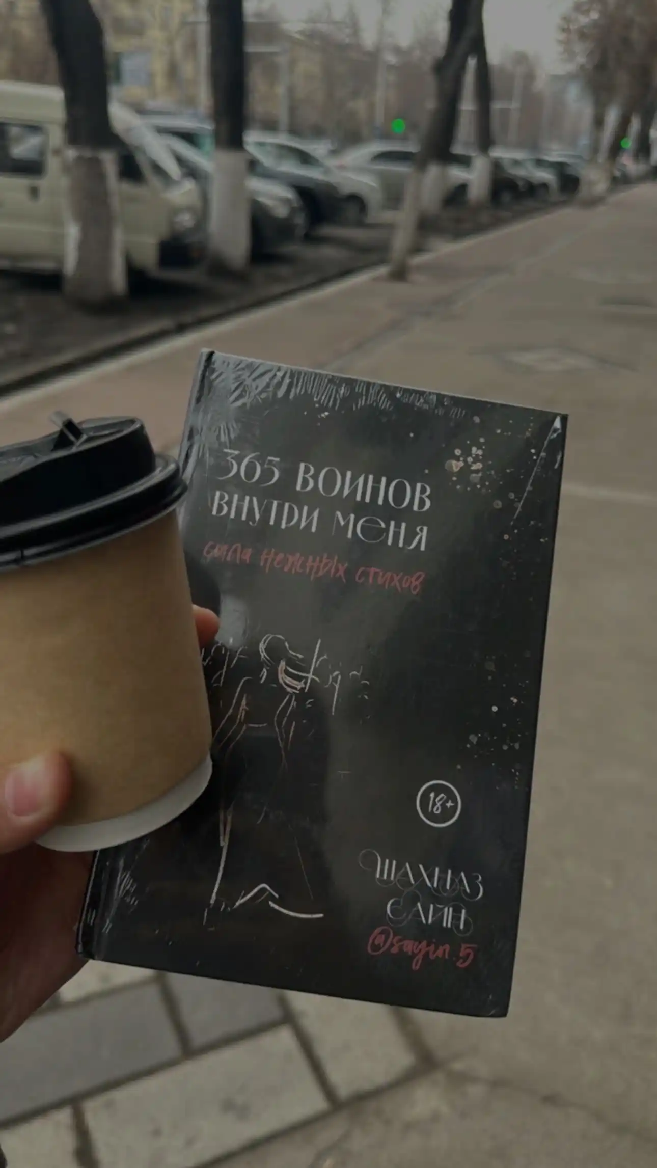 365 Воинов внутри меня, Сила нежных стихов, Шахназ Сайн