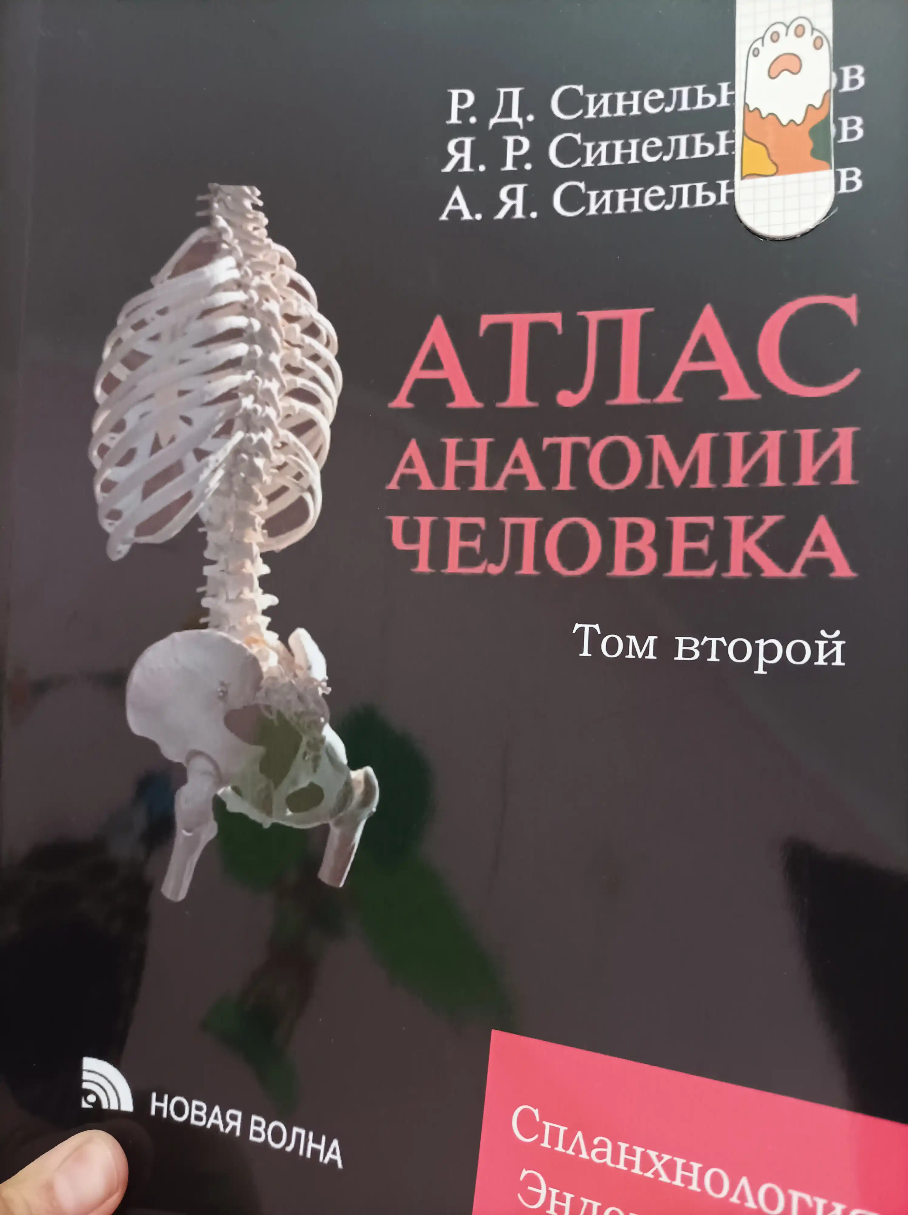 Atlas anatomii cheloveka. Sinel'nikov. Tom 2