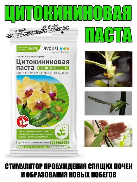 Цитокининовая паста AUG - стимулятор пробуждения спящих почек и образования новых побегов