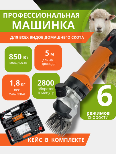 Keksa mushukdagi sikning yaqindan olingan videosi