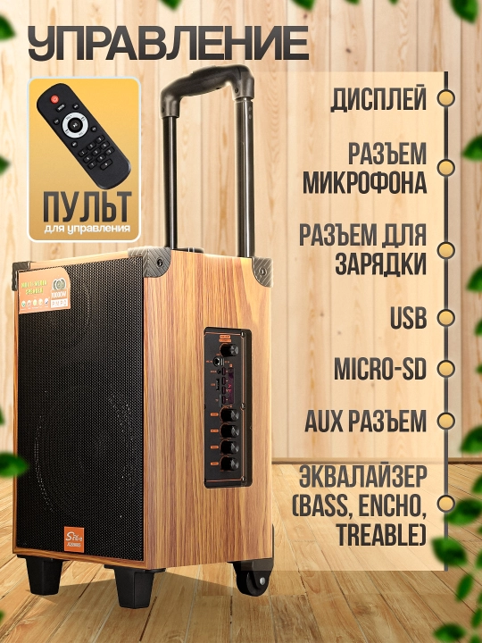 Portativ kalonkalar karaoke, Bluetooth kalonka mikrafon, masofadan boshqarish pulti
