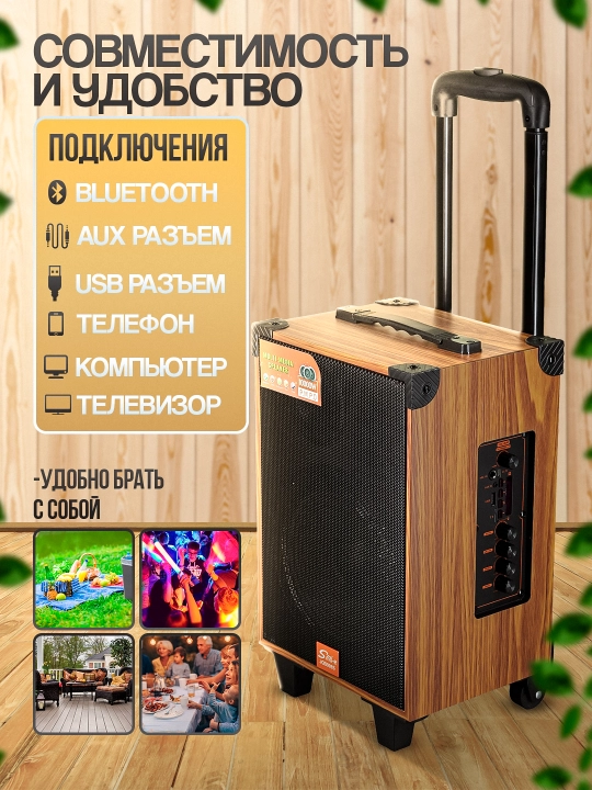 Portativ kalonkalar karaoke, Bluetooth kalonka mikrafon, masofadan boshqarish pulti